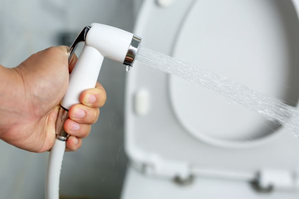Cost of Bidet Installation in Stone Mountain