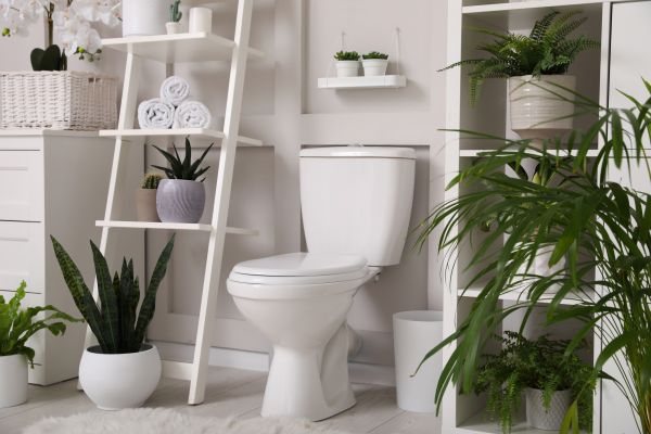 Cost of Toilet Repair in Stone Mountain