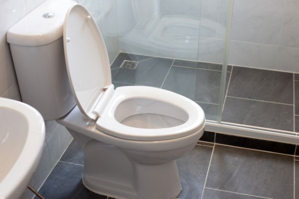 Cost of Toilet Replacement in Stone Mountain