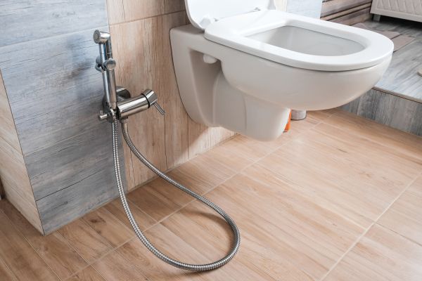 Cost of Bidet Service in Stone Mountain