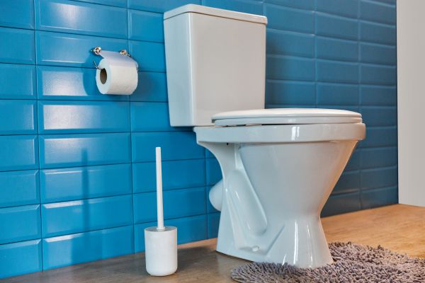 Cost of Toilet Tank Repair in Stone Mountain