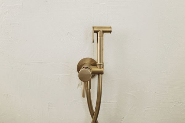 Cost of Bidet Plumbing in Stone Mountain