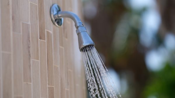 Cost of Showerhead Repair in Stone Mountain