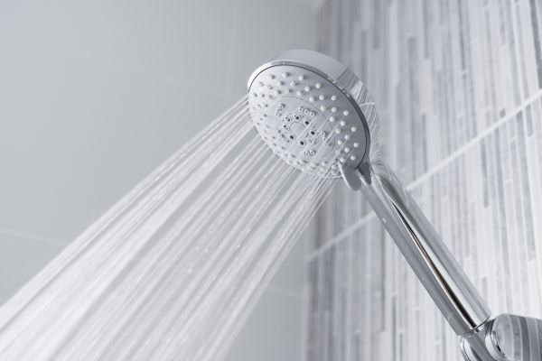 Cost of Showerhead Replacement in Stone Mountain