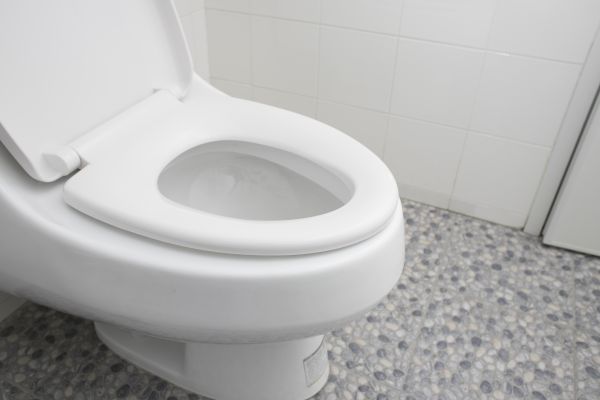 Cost of New Toilet Installation in Stone Mountain