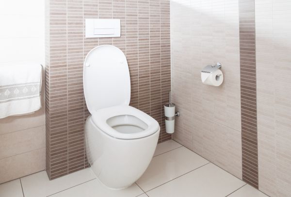 Cost of Toilet Plumbing Installation in Stone Mountain